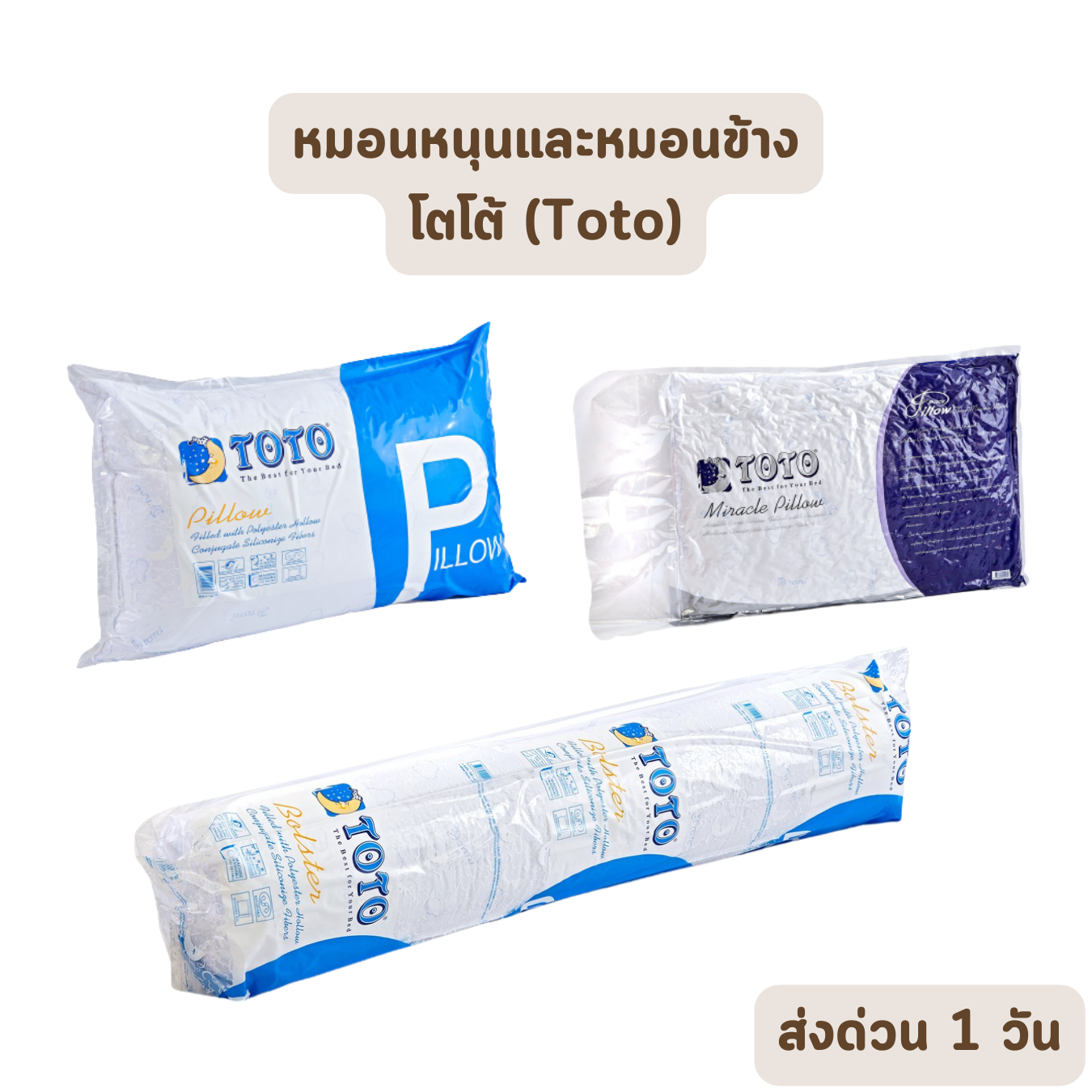 หมอนหนุน และ หมอนข้าง โตโต้ Pillow and Bolster Toto ป้องกันไรฝุ่น ผ้าพรีเมียม ของแท้ เกรดเอ ราคาส่ง