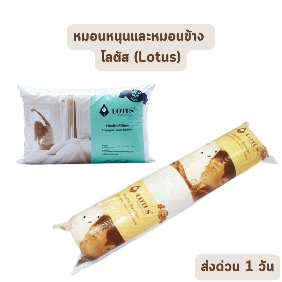 Lotus หมอนหนุน และ หมอนข้าง โลตัส พรีเมียม