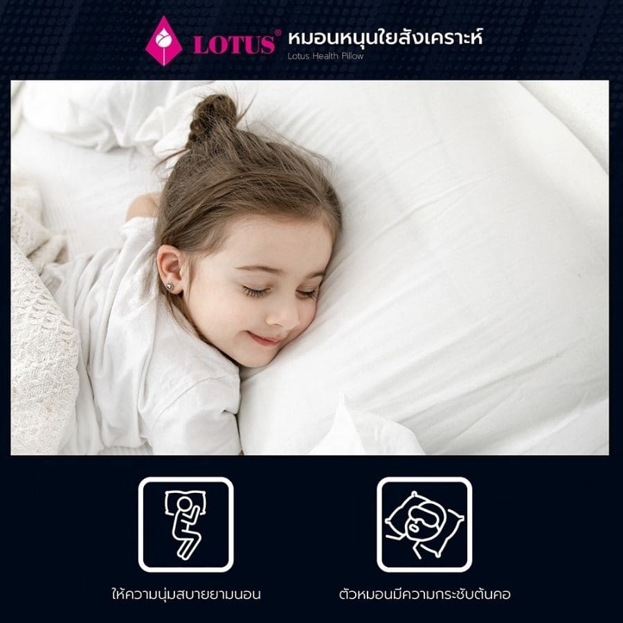 Lotus หมอนหนุน และ หมอนข้าง โลตัส พรีเมียม - Image 4