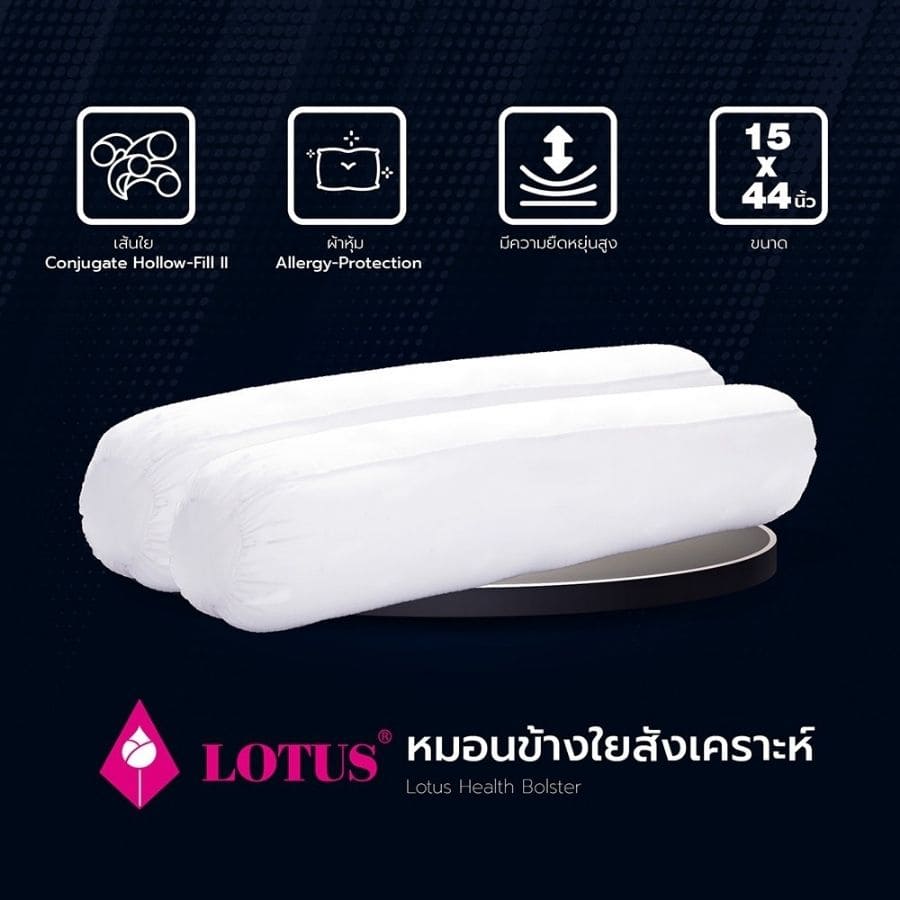 Lotus หมอนหนุน และ หมอนข้าง โลตัส พรีเมียม - Image 5