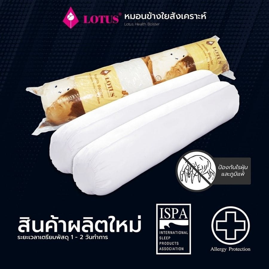 Lotus หมอนหนุน และ หมอนข้าง โลตัส พรีเมียม - Image 6