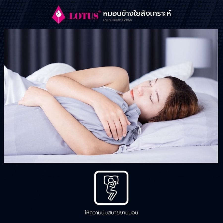 Lotus หมอนหนุน และ หมอนข้าง โลตัส พรีเมียม - Image 7